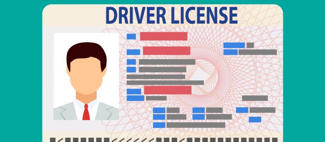 driver's license